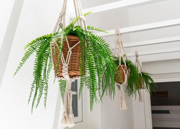 Apartament Hidalgos Hideaway - La Caleta Costa Adeje (Tenerife)